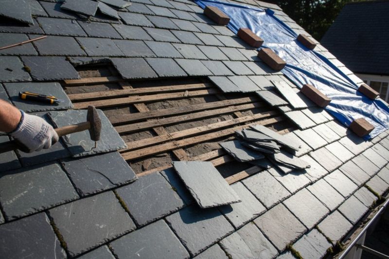 Small Roof Repair